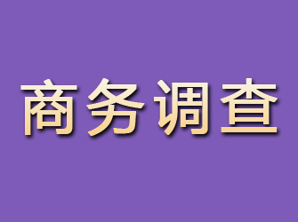 高邑商务调查